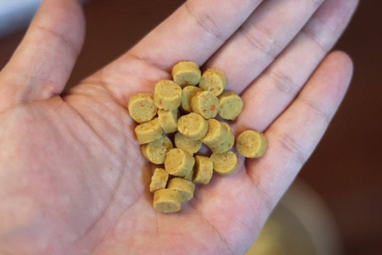 Korean Handmade Soft Dog Food