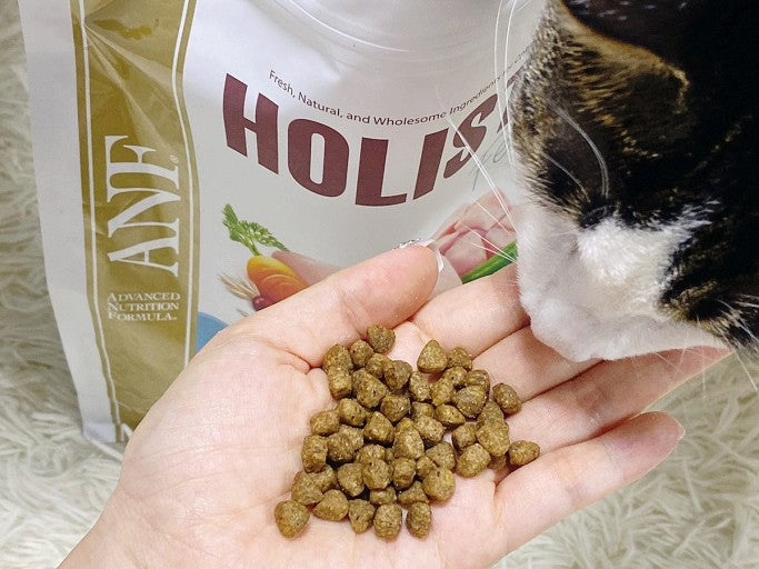 ANF Cat Holistic
