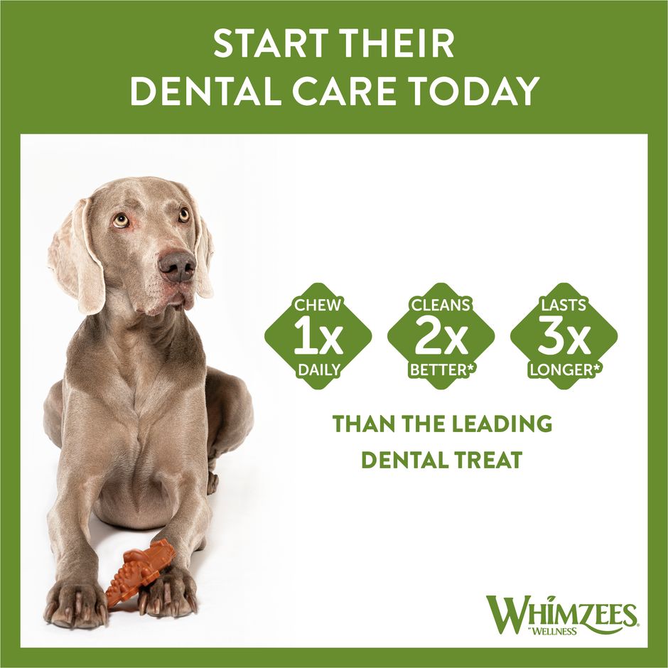 Whimzees Daily Dental Treats Alligator - 360g