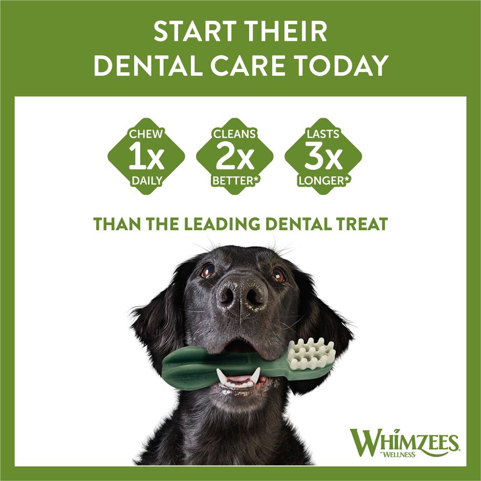 Whimzees Daily Dental Treats Toothbrush