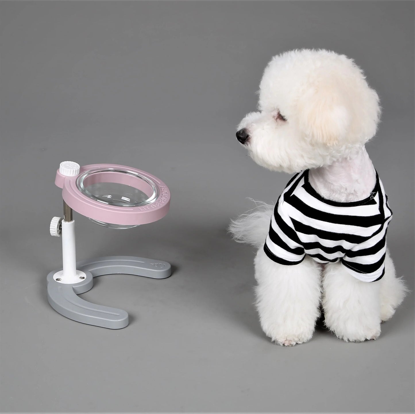 Little Factory Elevated Feeding Station (Single Tempered Bowl)