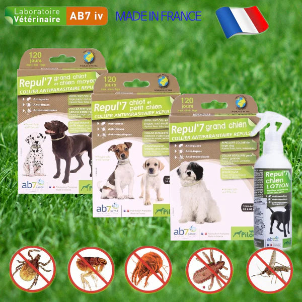 Pilou Dog 3-Month Flea & Tick Repellant Collar
