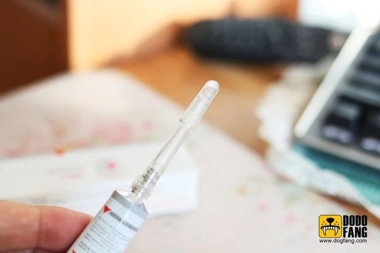 Vetoquinol® Oridermyl® Ointment (Ear/Fungal Infection)
