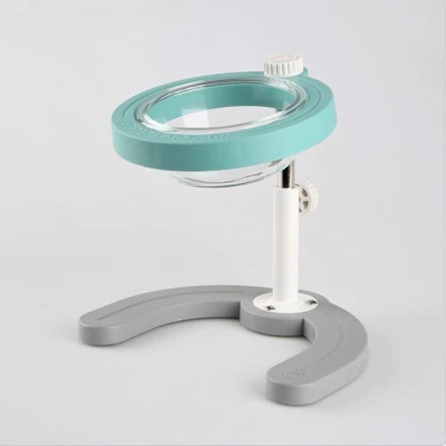 Little Factory Elevated Feeding Station (Single Tempered Bowl)