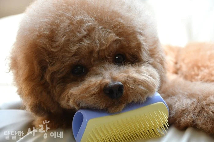 PET TEEZER Detangling Grooming Brush