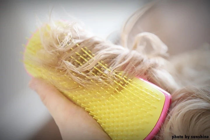 PET TEEZER Detangling Grooming Brush