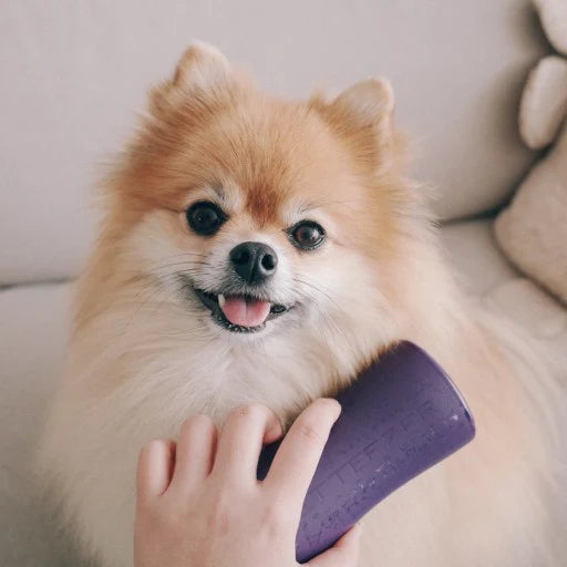 PET TEEZER Detangling Grooming Brush