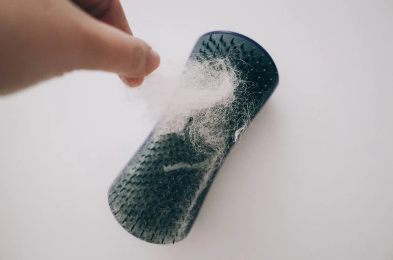 PET TEEZER Detangling Grooming Brush