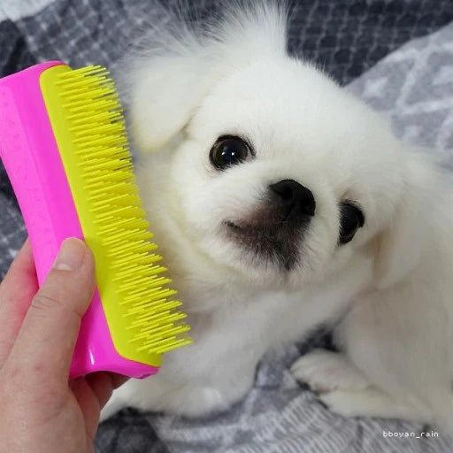 PET TEEZER Detangling Grooming Brush