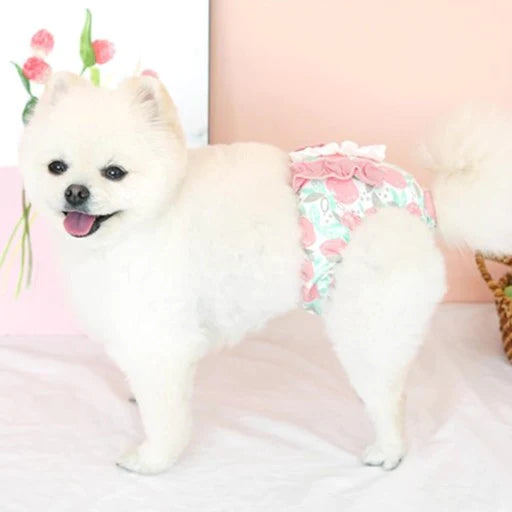 Paris Dog Fruity Cotton Reusable Washable Panty