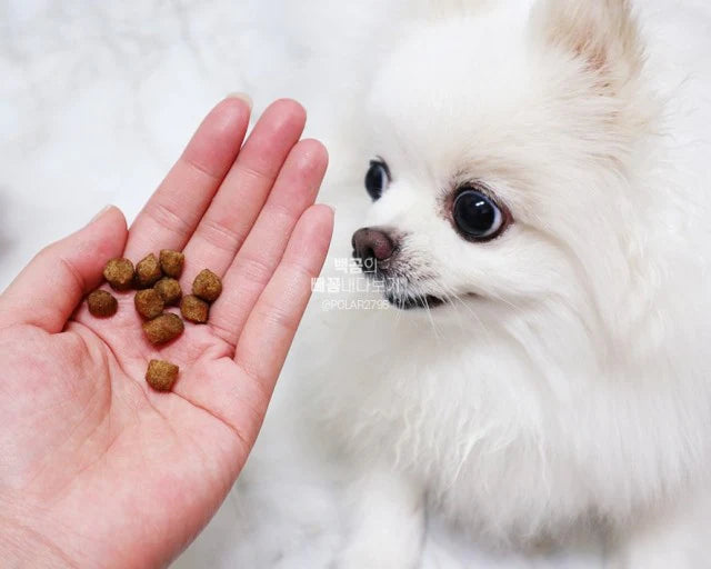 ANF SOFT Chicken
