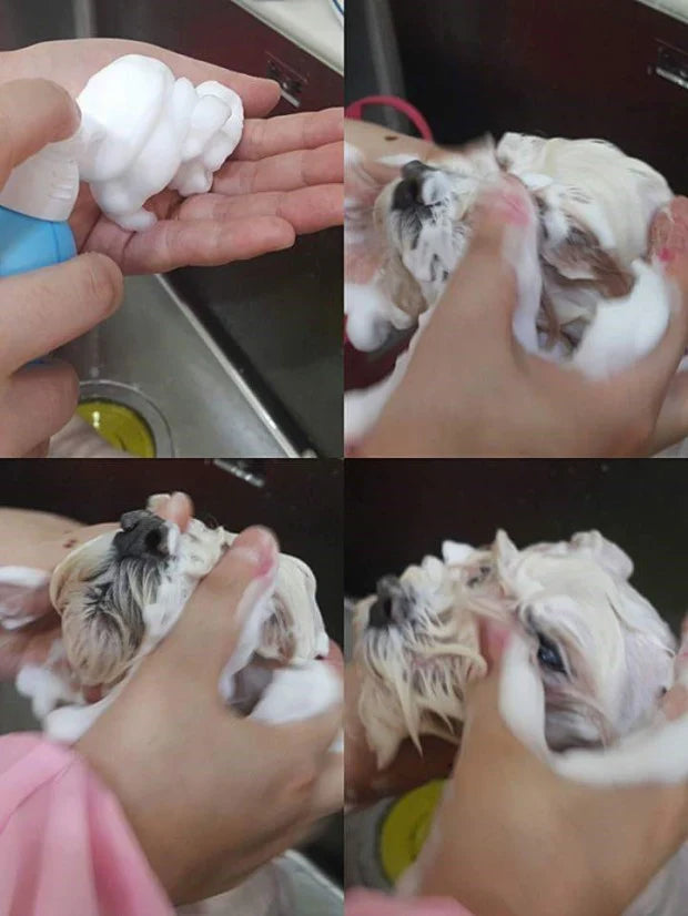 Enervis Carbonated Shampoo Mousse