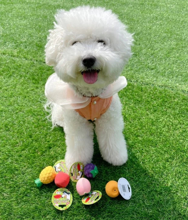 Parisdog Fruit Latex Toy