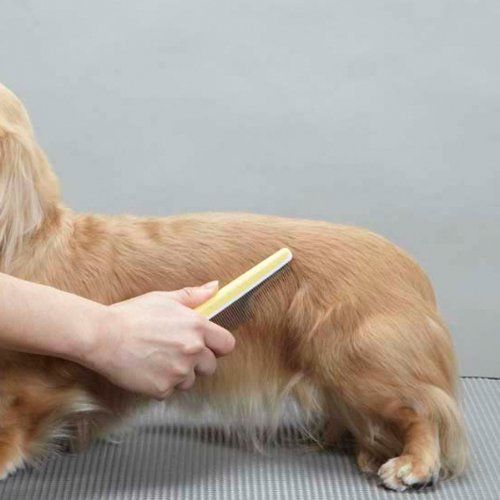 Doggyman Professional 2 in 1 Comb