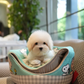 Tami - Coton de Tulear (White)