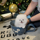Dexter - Pomeranian (White)
