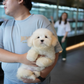 Irold - Coton de Tulear (White)
