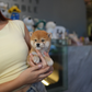 Butter - Mame Shiba (Red)