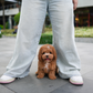 Austie - Mini Golden Doodle (Brown & White)