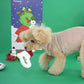 Peanuts Christmas Toy
