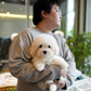 Tami - Coton de Tulear (White)