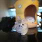 Bailey - Munchkin (Gold & Pink)