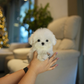 Iza - Maltese (White)