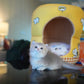Bailey - Munchkin (Gold & Pink)