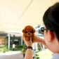 Gingo - Tiny Poodle (Red)