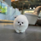 Tasha - Pomeranian (White)