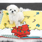 Peanuts Holiday Book Mat