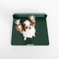 Dogtoc Potty Training Toilet Tray