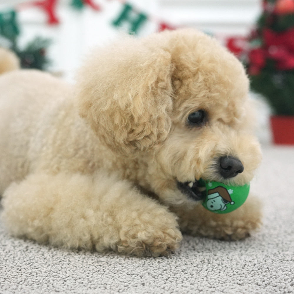 Peanuts X-Mas Latex Toy