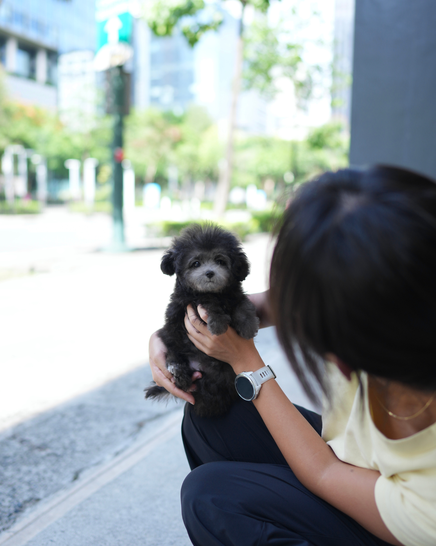 Lei - Tiny Poodle (Silver)