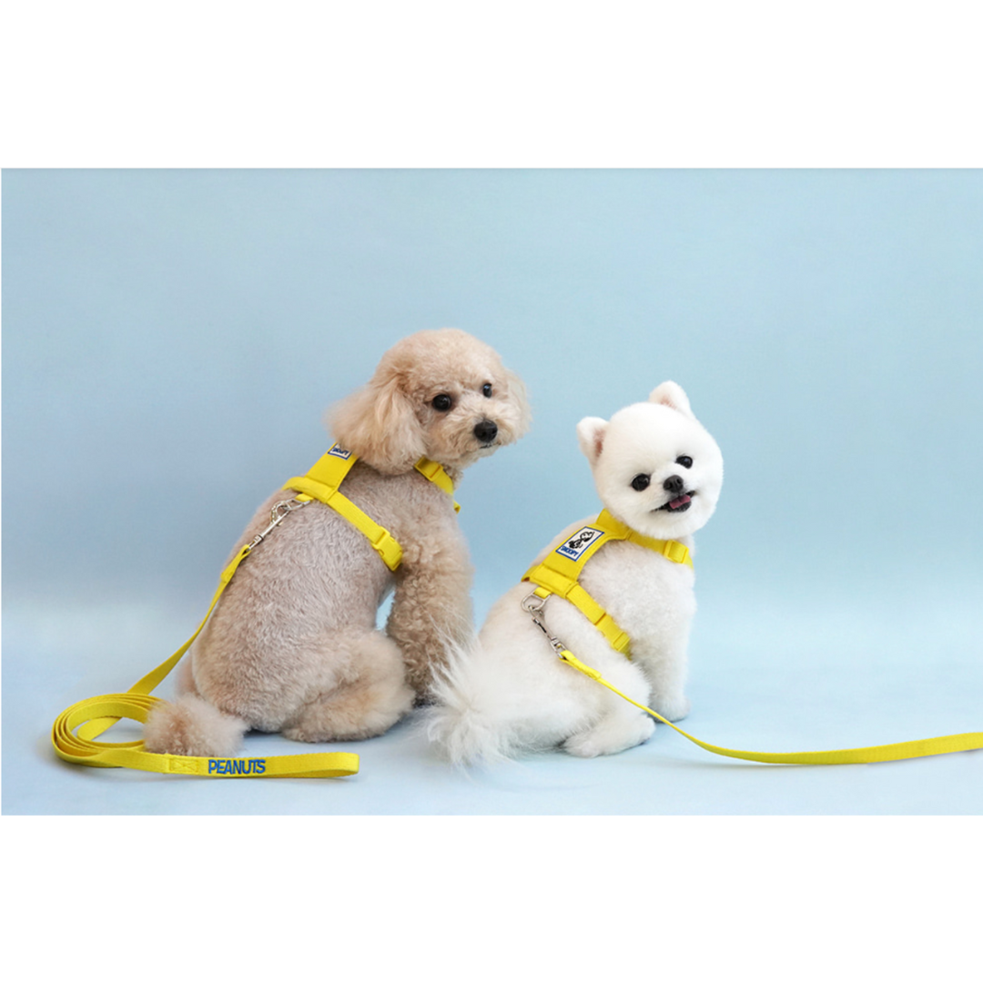 Parisdog Snoopy 2Way Backpack Harness