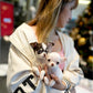 Roxie - Teacup Chihuahua (Parti)
