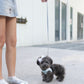 Luna - Tiny Poodle (Silver)