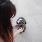 Luna - Tiny Poodle (Silver)