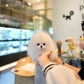 Lily - Pomeranian (White)