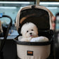 Carlo - Coton de Tulear (White)