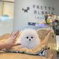 Lily - Pomeranian (White)