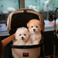 Carlo - Coton de Tulear (White)