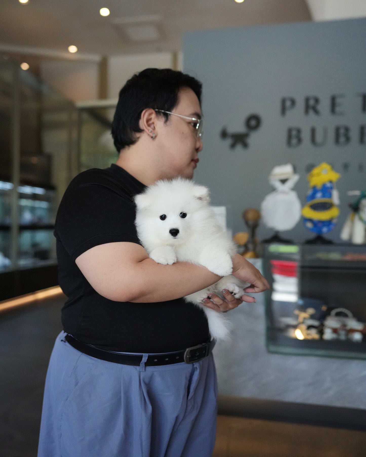 Bry - Samoyed (White)