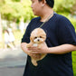 Roxie - Maltipoo (Brown & White)