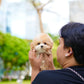 Roxie - Maltipoo (Brown & White)