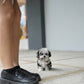 Cyrus - Maltipoo (Blue Merle)