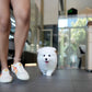 Bry - Samoyed (White)