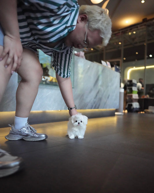 Layem - Micro Maltese (White)