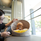 Kiwee - Maltipoo (Brown & White)