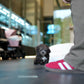 Brent - Tiny Poodle (Silver)